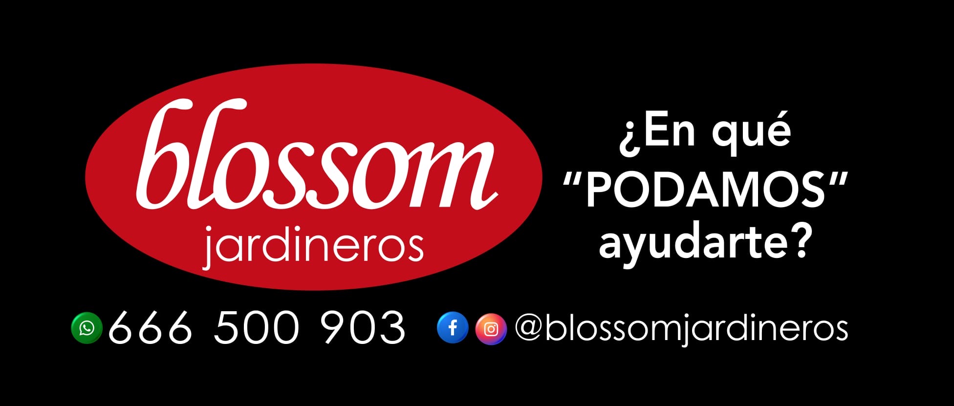 Imagen de un hermoso jardín